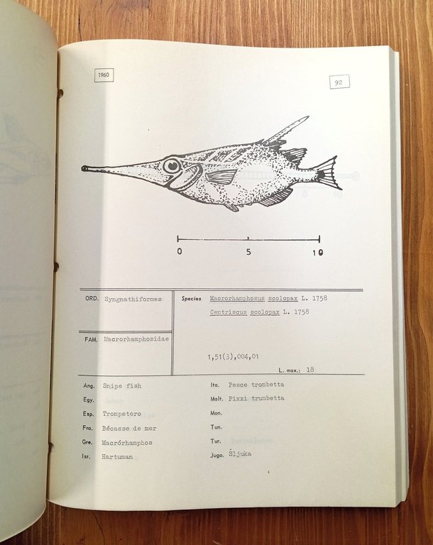 Catalogue des noms de poissons ayant une importance commerciale en …