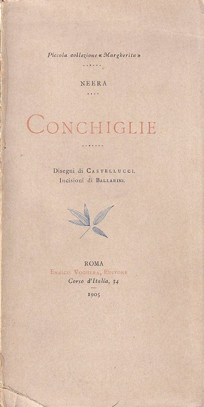 Conchiglie | Immagine principale
