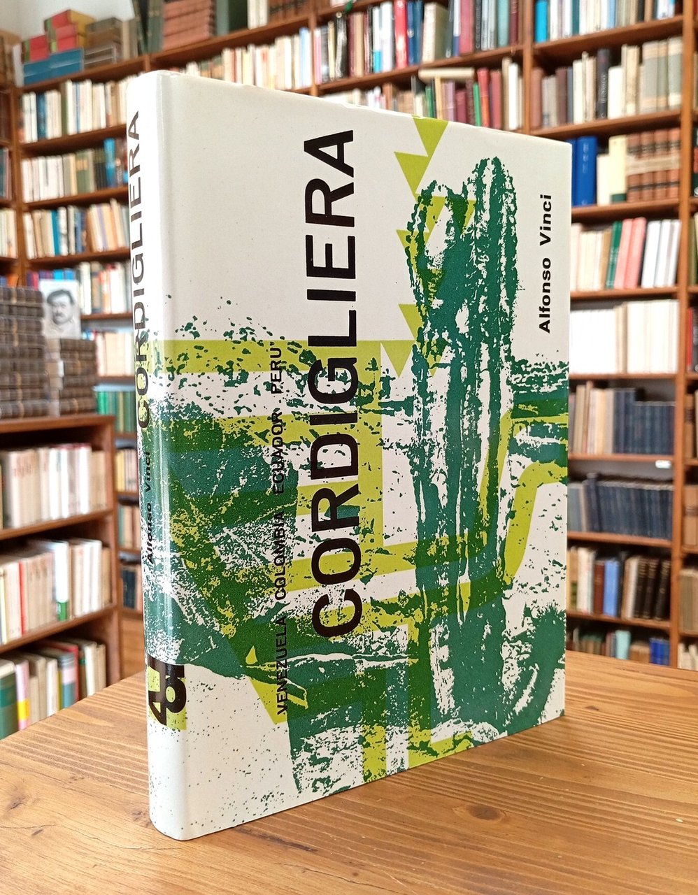 Cordigliera. Venezuela, Colombia, Ecuador, Perù