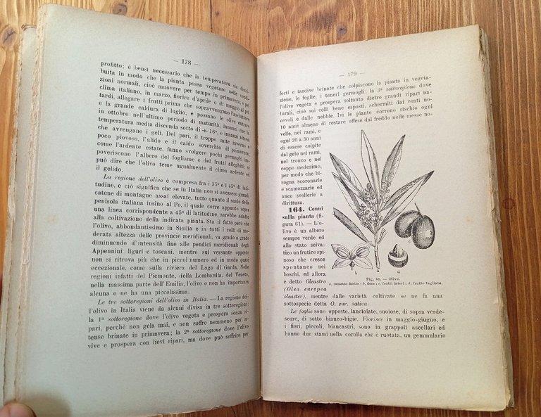 Corso d'agraria. Volume terzo, parte seconda: Frutticultura - Gelsicultura - …