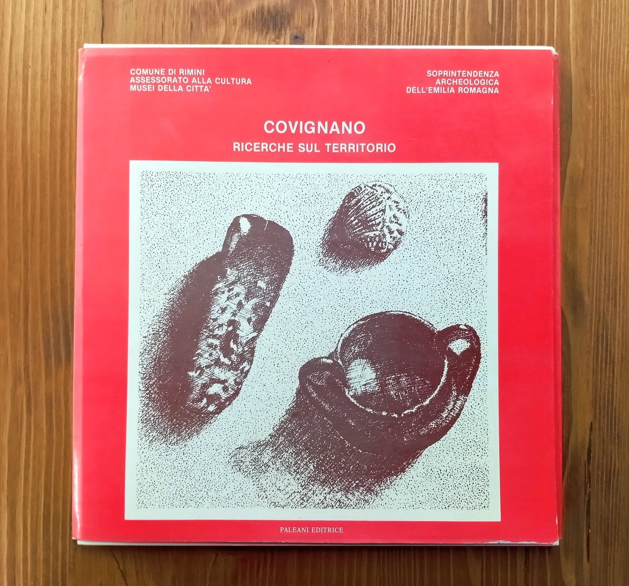 Covignano. Ricerche sul territorio