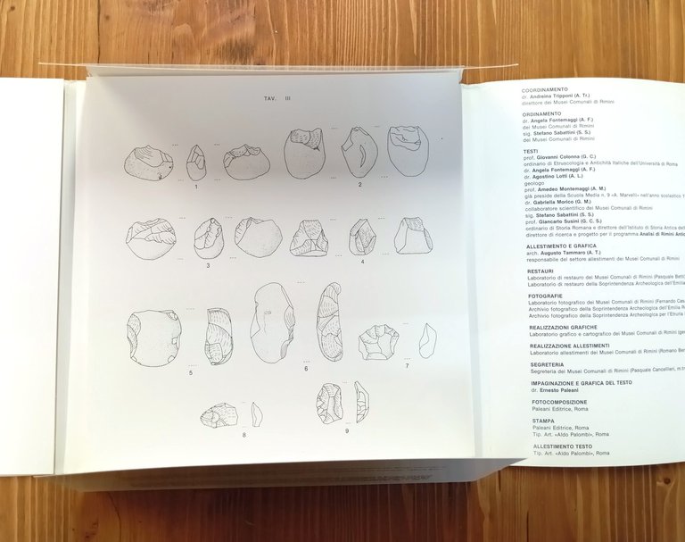 Covignano. Ricerche sul territorio