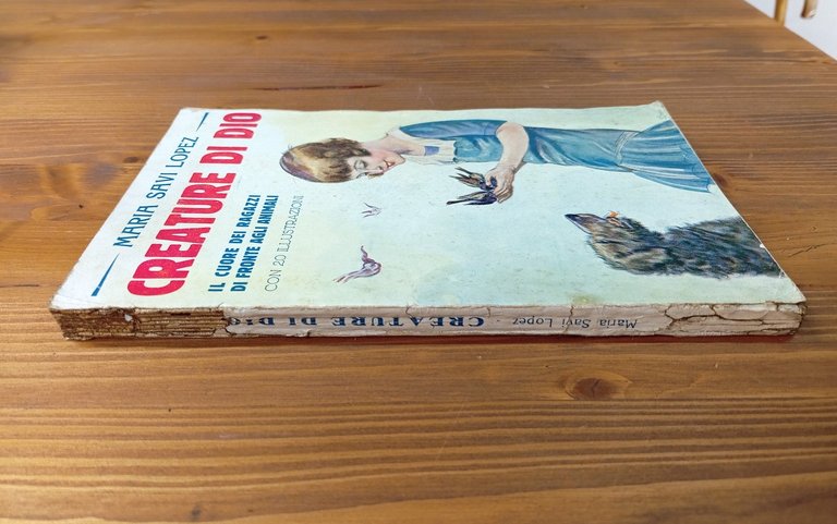 Creature di Dio. Il cuore dei ragazzi di fronte agli …