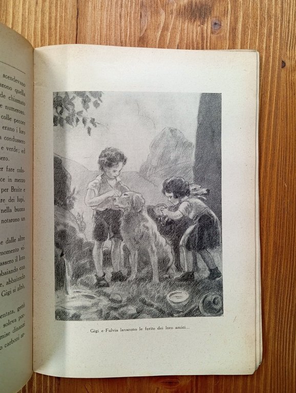 Creature di Dio. Il cuore dei ragazzi di fronte agli …