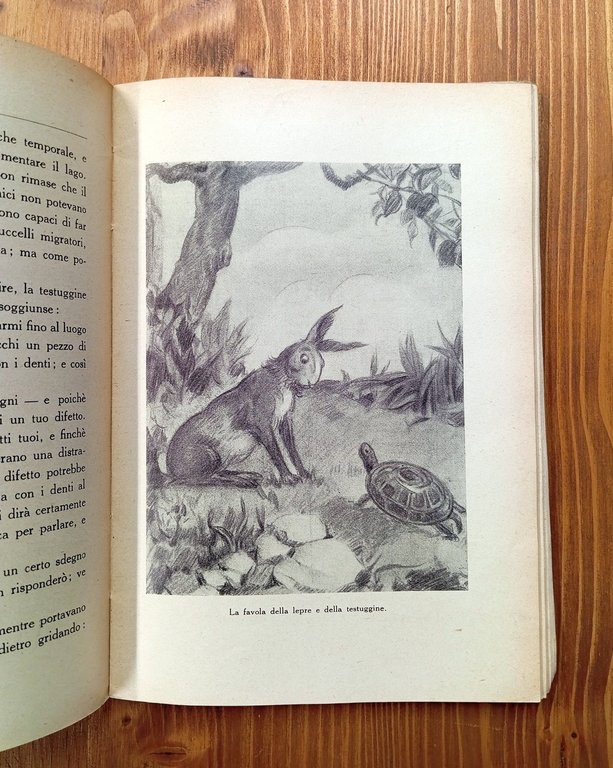 Creature di Dio. Il cuore dei ragazzi di fronte agli …