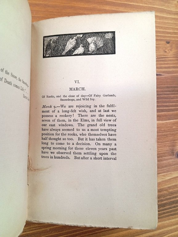 Days and Hours in a Garden