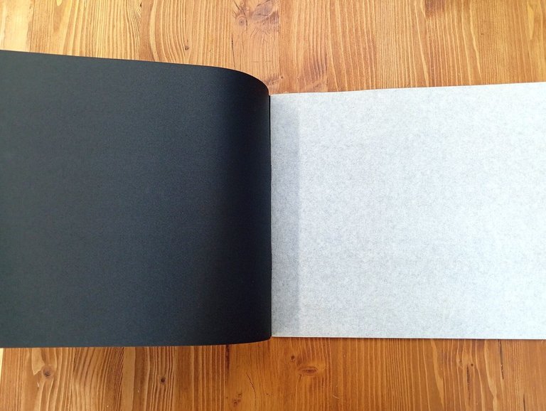 Disegno ornato classico [album da disegno su fogli neri]