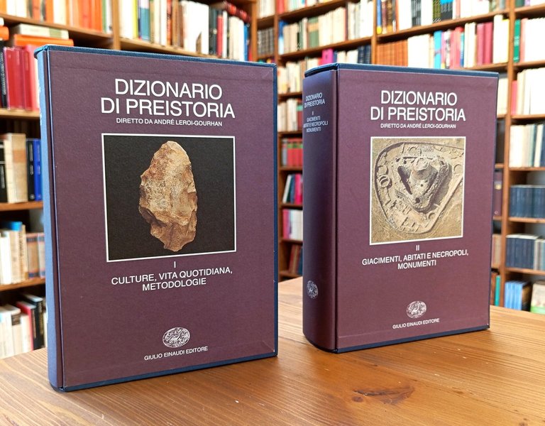 Dizionario di preistoria. Vol. I e II