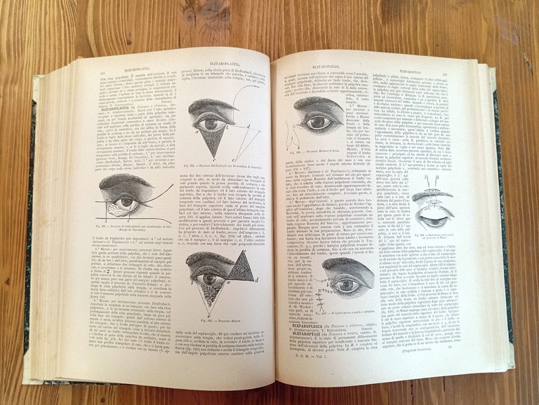 Dizionario pratico illustrato delle Scienze Mediche