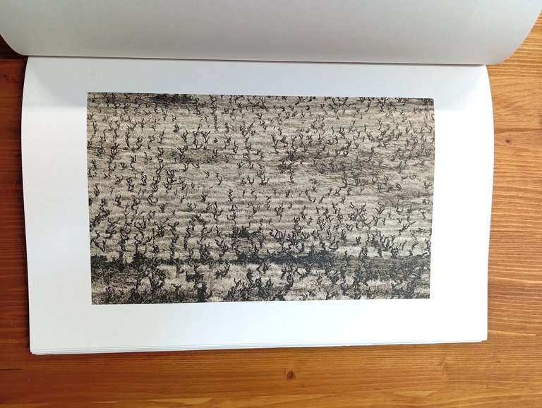 Dominique Laugé. L'occhio incantato