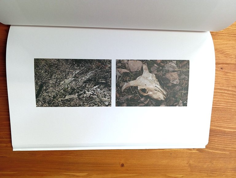 Dominique Laugé. L'occhio incantato