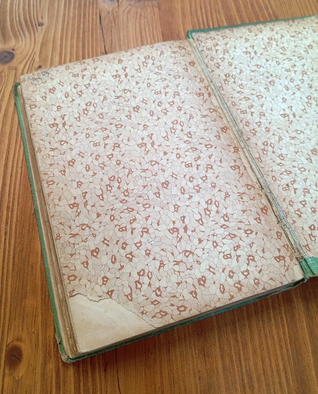 Fiaccolino. Libro per i ragazzi