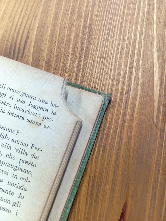 Fiaccolino. Libro per i ragazzi