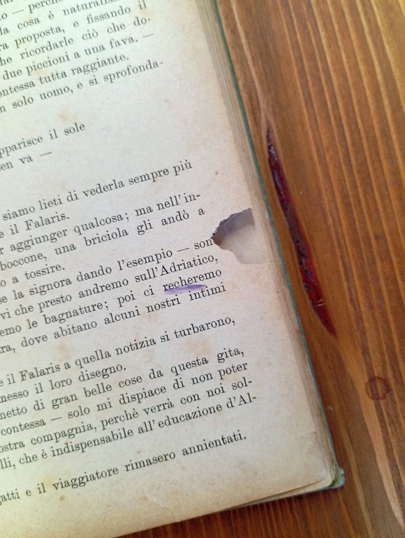 Fiaccolino. Libro per i ragazzi