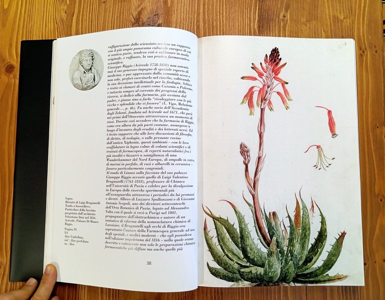 Fiori di Sicilia. Acis Hortus Regius: l'erbario di Giuseppe Riggio …