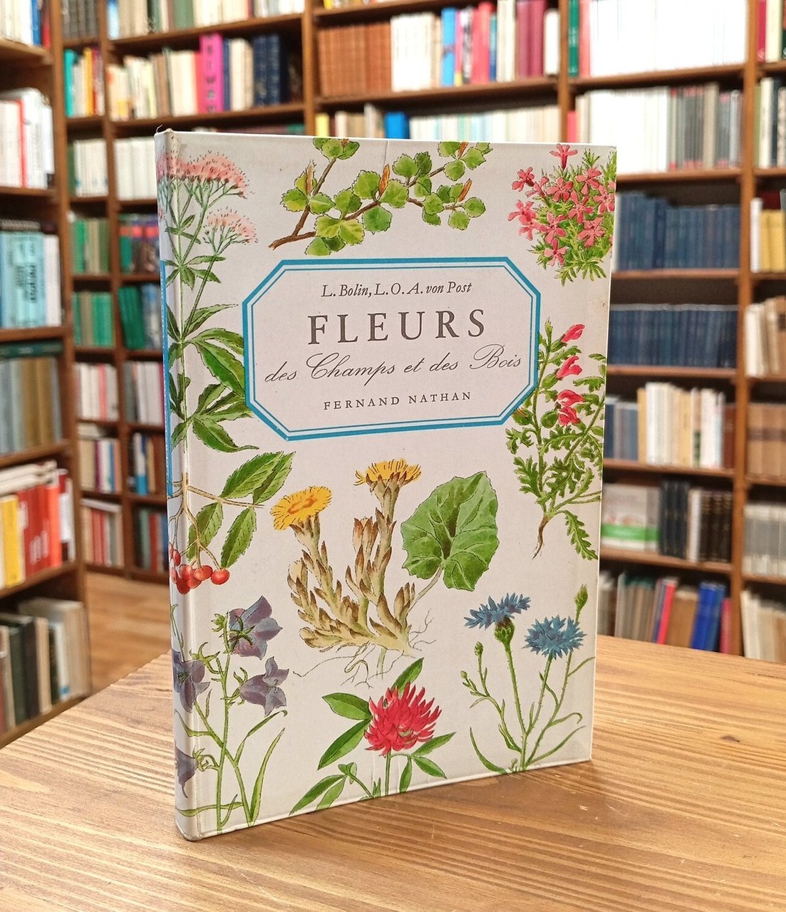 Fleurs des champs et des bois