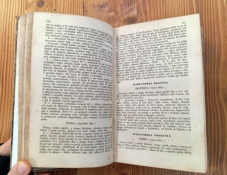 Flora Astese secondo il sistema sessuale di Linneo con cenni …