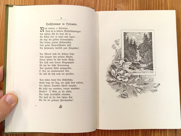 Heimwärts : Lieder und Gedichte (1907-1921)