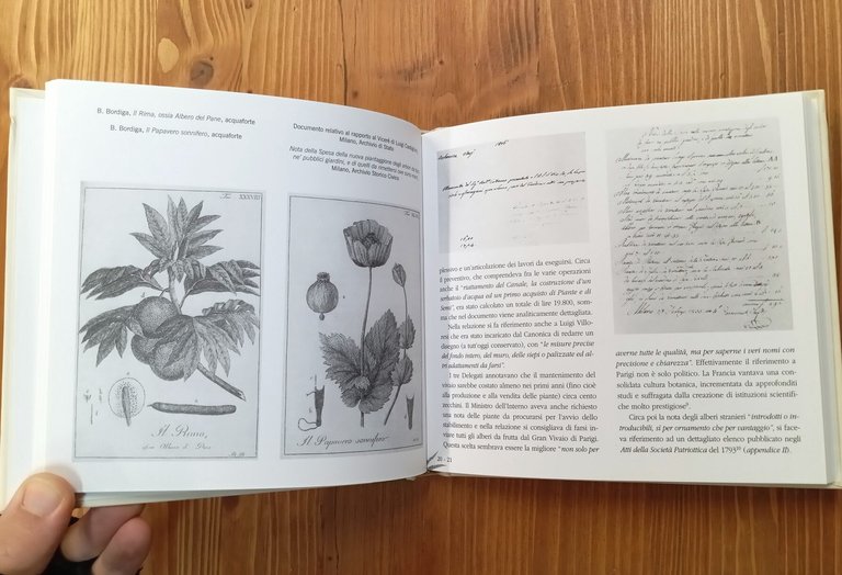 Herbarium Rainerianum. Rarità botaniche dalla Villa Reale di Monza alla …