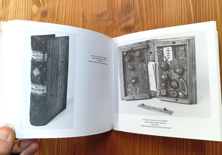Herbarium Rainerianum. Rarità botaniche dalla Villa Reale di Monza alla …