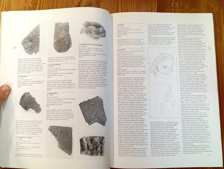 I luoghi degli dei. Sacro e natura nell'Abruzzo italico
