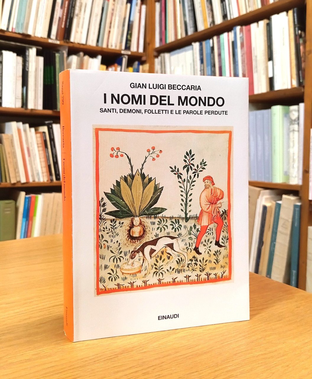 I nomi del mondo. Santi, demoni, folletti e le parole … | Immagine principale