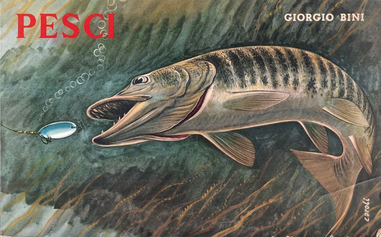 I pesci delle acque interne d'Italia