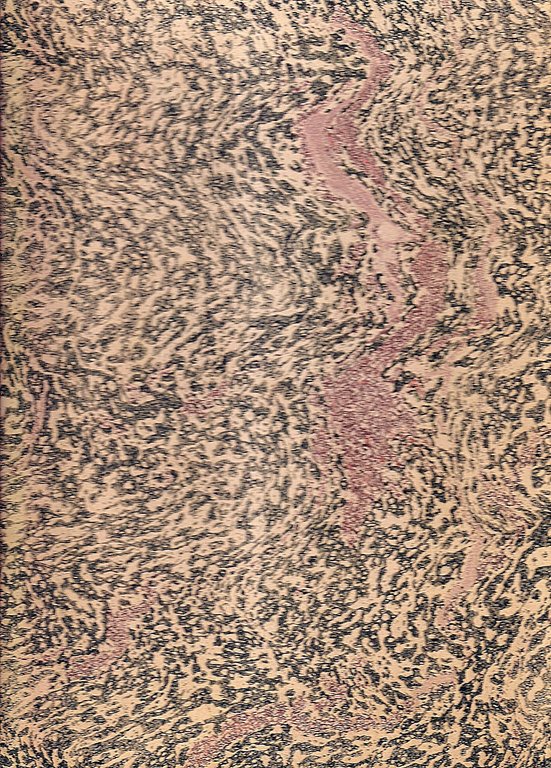 I tre nummi - La commedia del fantasma / La …