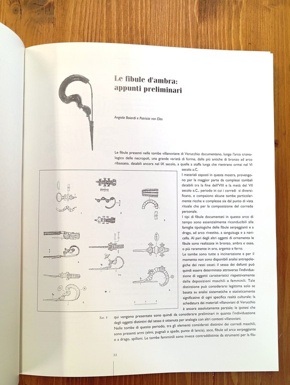 Il dono delle Eliadi. Ambre e oreficerie dei principi etruschi …