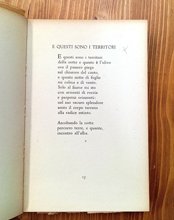 Il libro del forestiero. Poesie