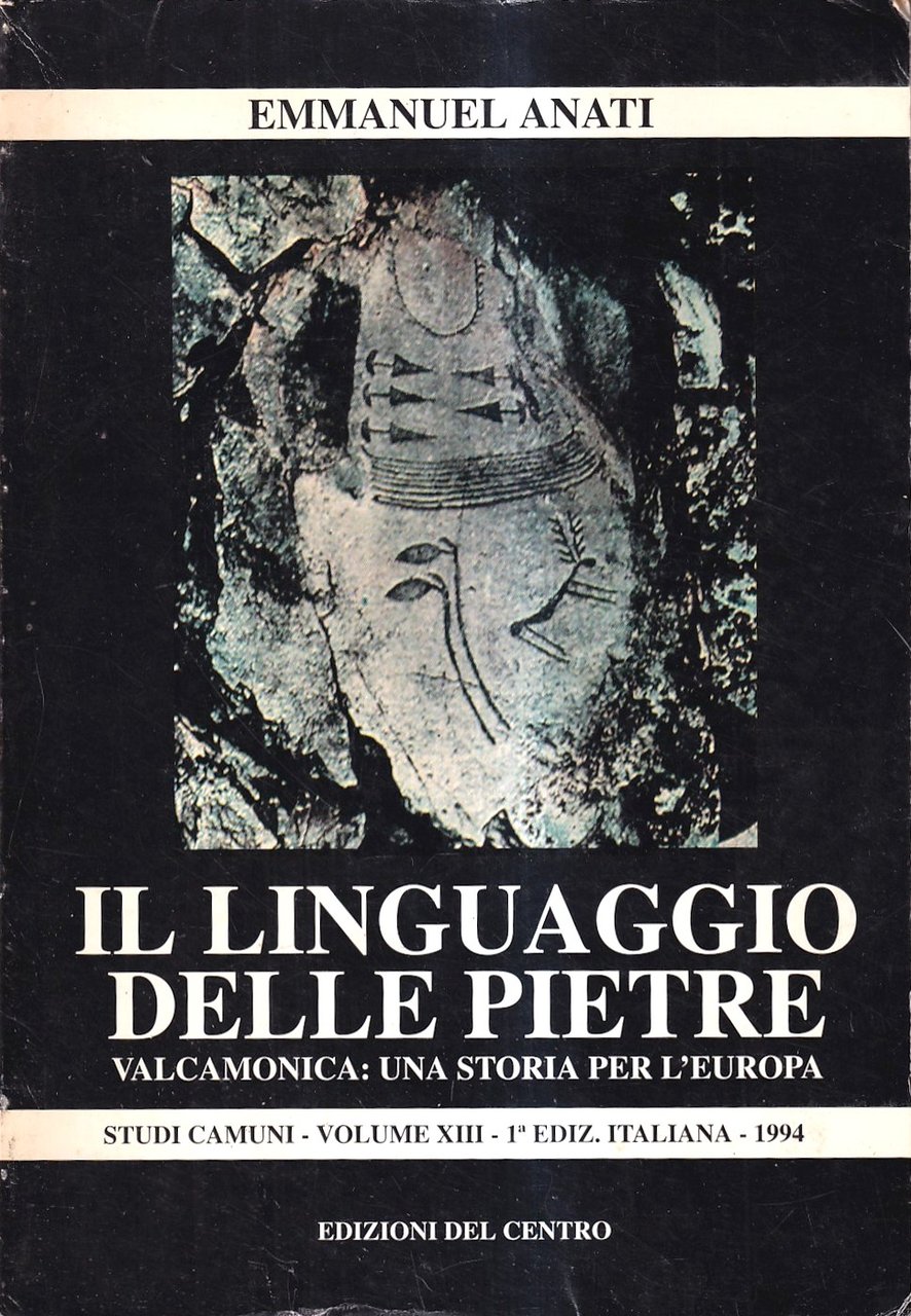 Il linguaggio delle pietre. Valcamonica: una storia per l'Europa