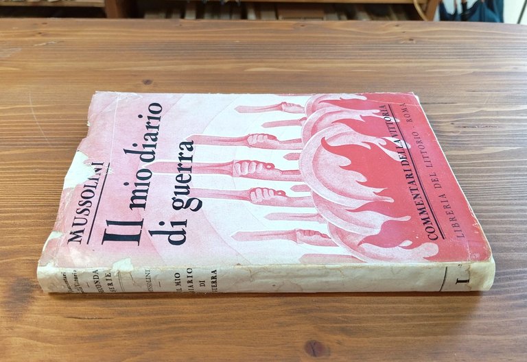 Il mio diario di guerra. 1915-1917