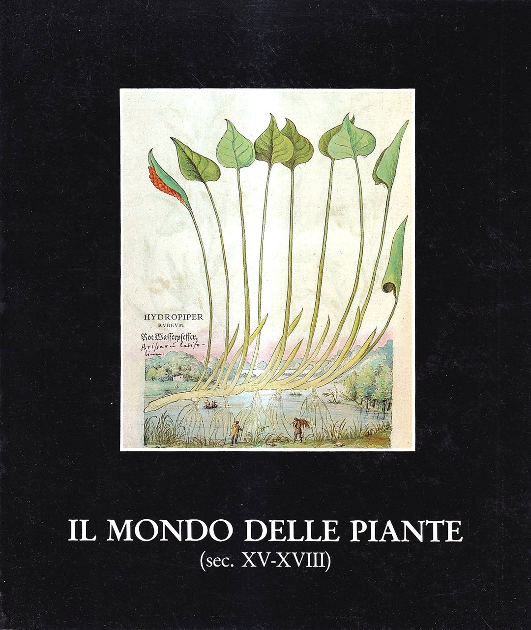 Il mondo delle piante (sec. XV-XVIII)