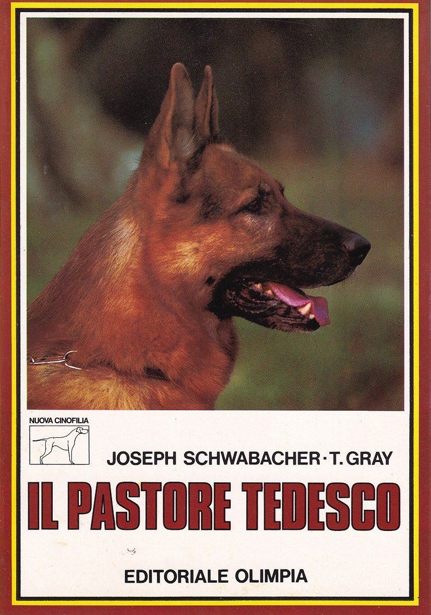 Il pastore tedesco | Immagine principale
