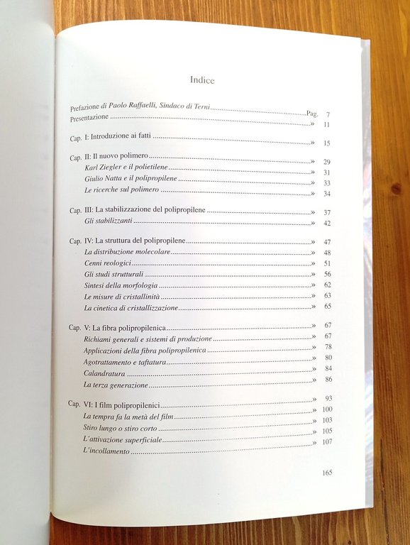 Il polipropilene: una storia italiana