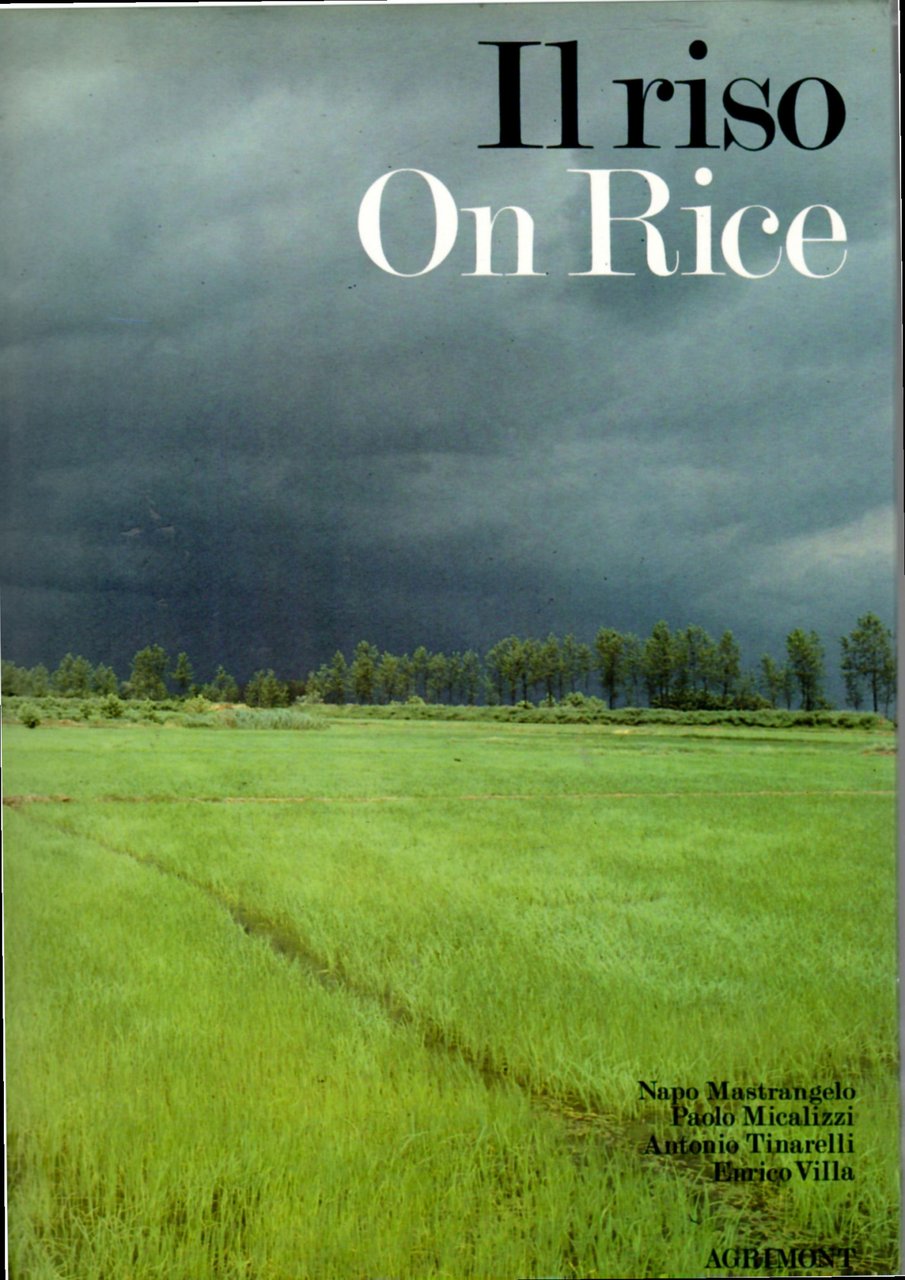 Il riso - On Rice