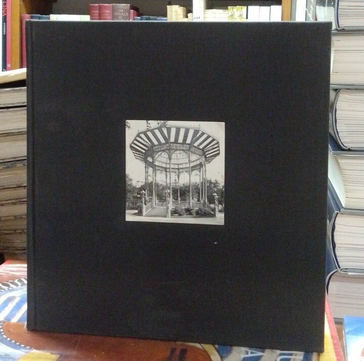 Immagine e città. Napoli nelle collezioni Alinari e nei fotografi …