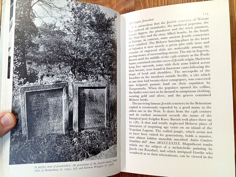 In Strangest Europe. A Cabinet of Curiosities, Rarities and Monsters