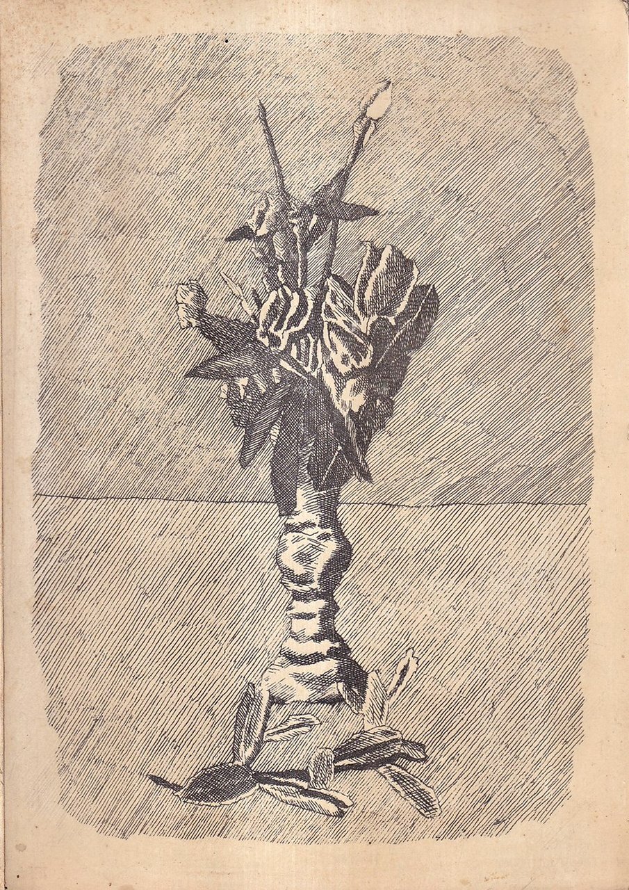 Incisioni originali italiane e straniere dell'800 e moderne. Acquerelli e … | Immagine principale