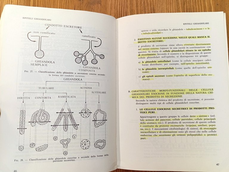Istologia umana. Vol. 1 e 2