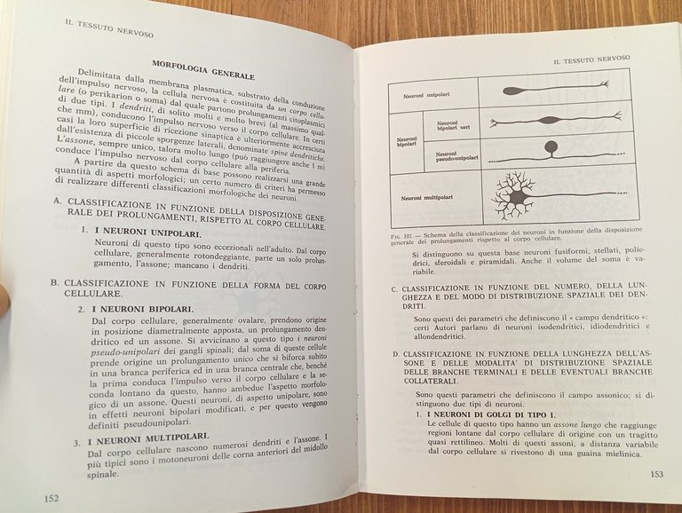 Istologia umana. Vol. 1 e 2