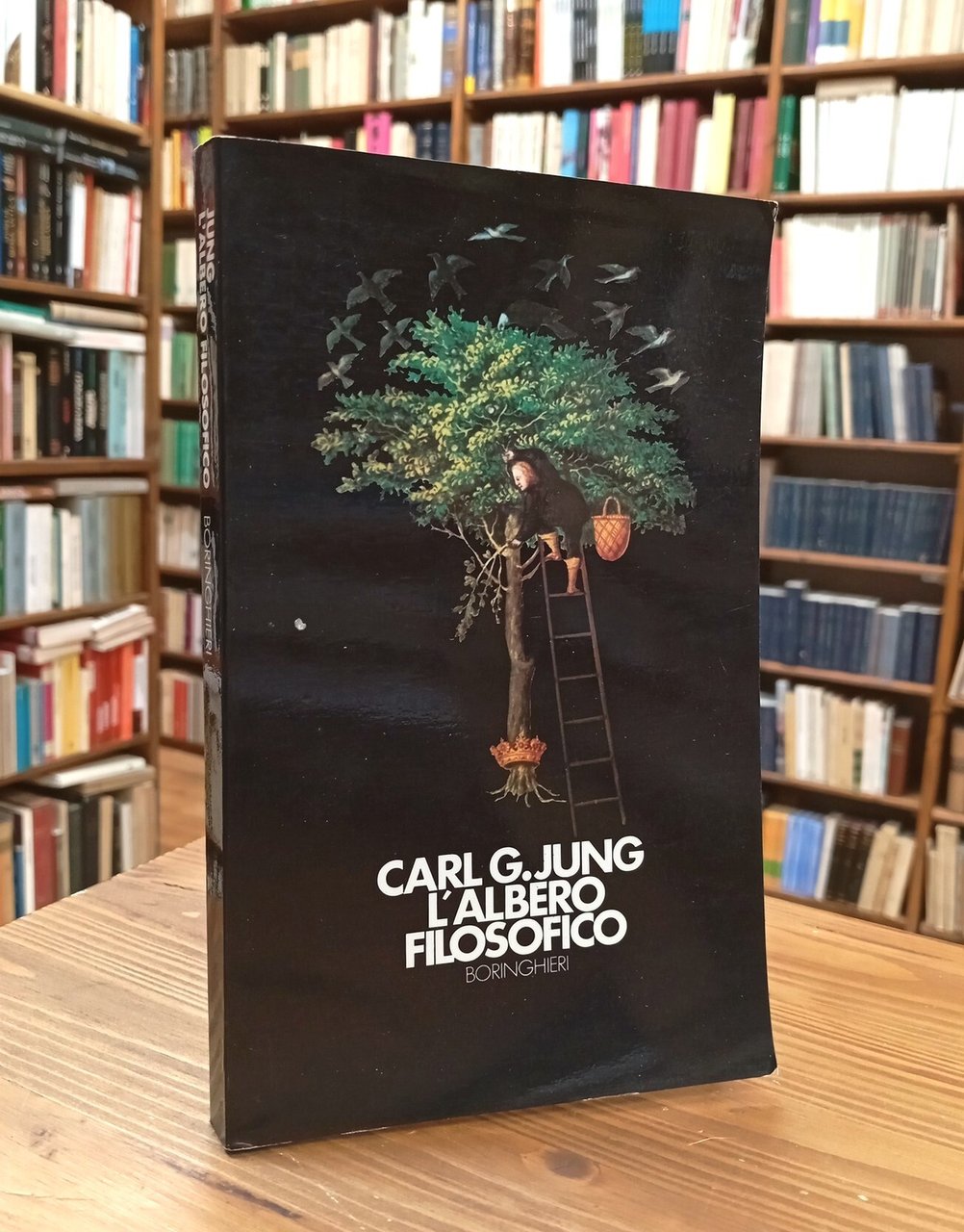 L'albero filosofico | Immagine principale