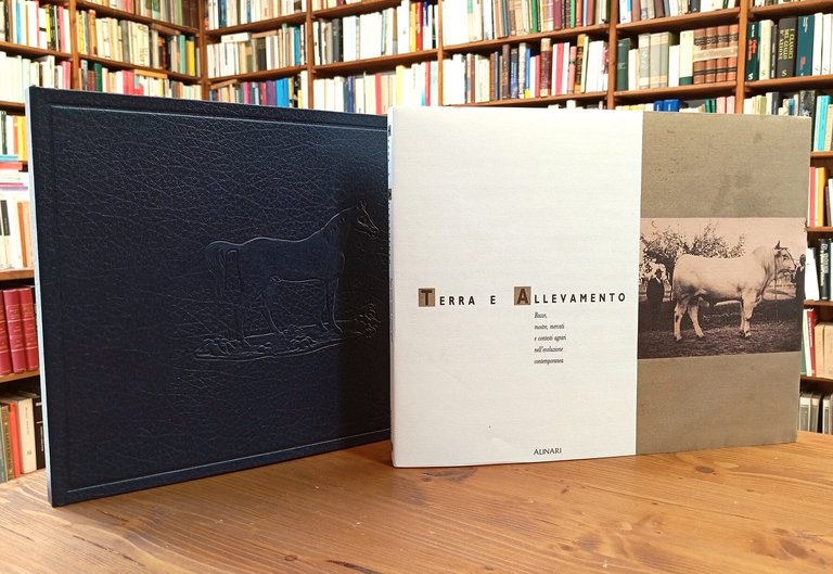 L'album Semplicini (2 volumi in cofanetto)