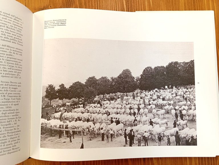 L'album Semplicini (2 volumi in cofanetto)