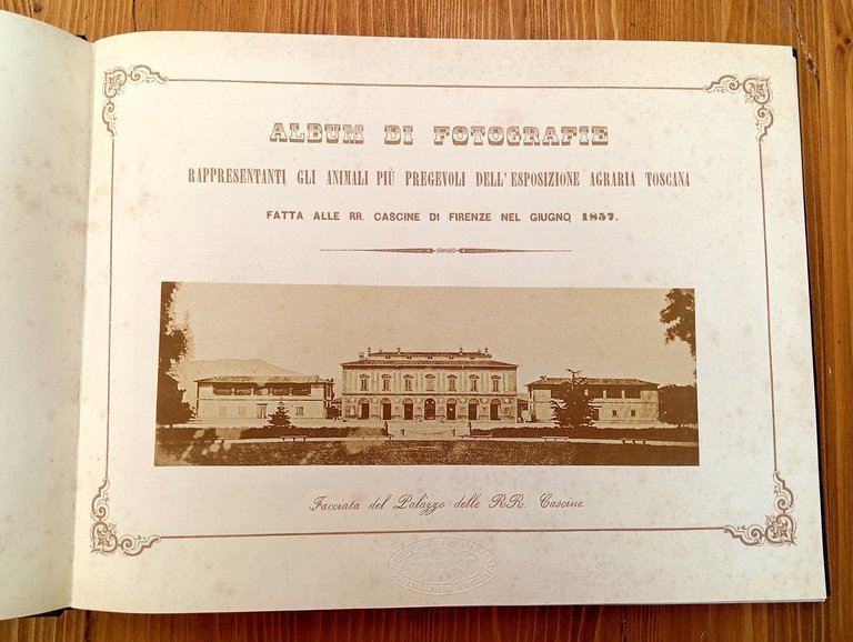 L'album Semplicini (2 volumi in cofanetto)