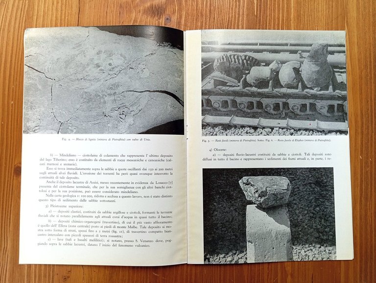 L'antico lago Tiberino