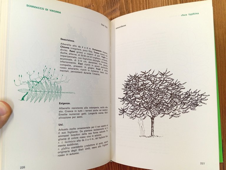 L'arte di conoscere gli alberi