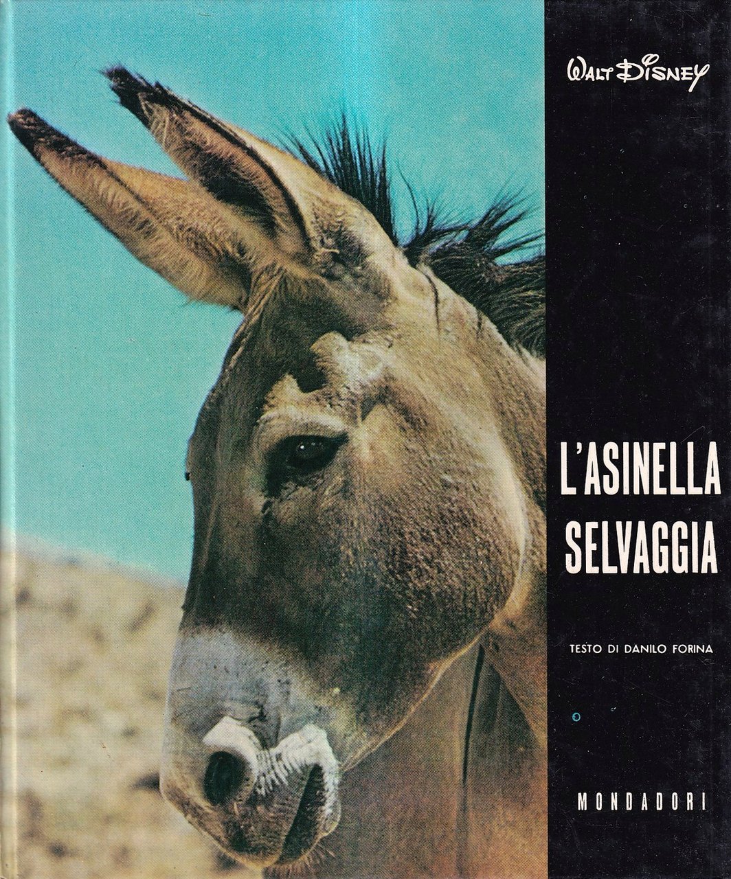 L'asinella selvaggia | Immagine principale