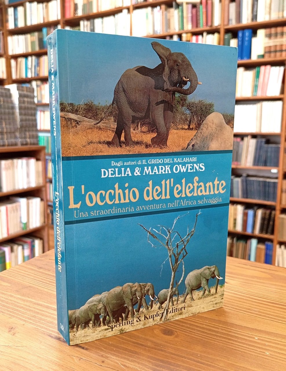 L'occhio dell'elefante