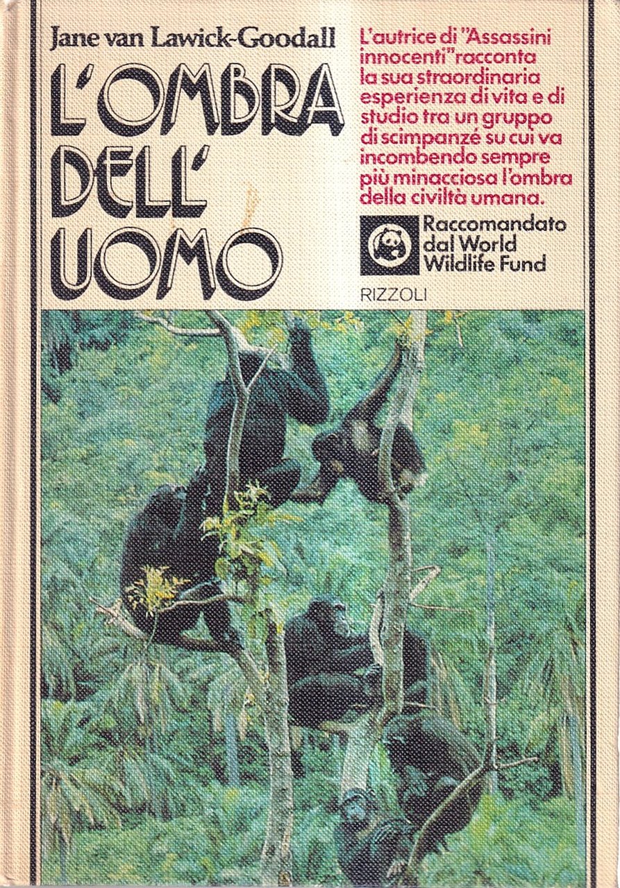 L'ombra dell'uomo